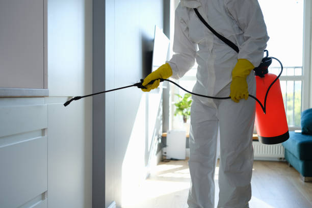 Best Mold Remediation Experts  in Prosperity, WV
