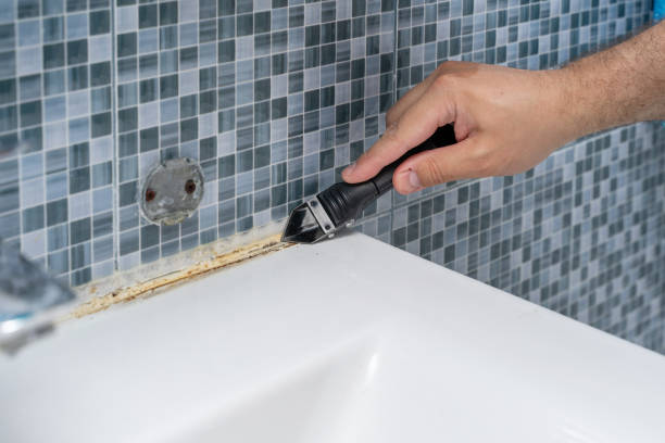 Best Fast Mold Removal  in Prosperity, WV